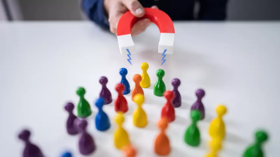 Exemple de lead magnet utilisé dans un lancement rapide